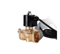 1" Normally Closed Brass IP68 Waterproof Fountain Solenoid Valve 110V 24V 12V 24v for Underwater(BSP-240VAC)