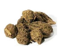 1 oz High John The Conqueror Roots - Wicca Pagan Curio Magick - Ipomoea Jalapa- Charms, Spells, Drawing Luck, Love, Success