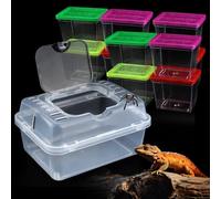 1 Pack Clear Portable Insect Reptile Terrarium Tank with Handle for Spider Snail Turtle Hermit Crab Gecko Insects Small Reptiles (with 10 Pack Small Plastic Reptile Carrier)