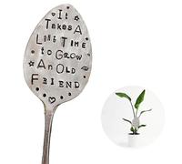 1 Pack Garden Marker Friendship Gift, Silver Stamped Spoon Plant Markers, Funny Humor Label Gift, Creative Markers Spoon for Plants, Herbs or Flowers (It Takes A Long Time to Grow)