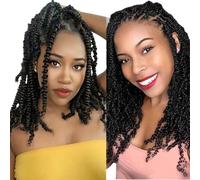1 Pack Passion Crochet Hair 18 Inch Pre Short Crochet Passion Hair Pre Looped Passion Crochet Braids Crochet Hair