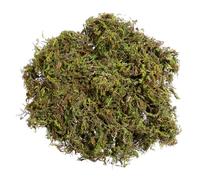 1 Packs Artificial Moss, Lichen Simulation Fake Green Plants for Patio Decoration (60g)