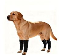 1 pair Dog Leg Brace, Adjustable Joint Support Wrap for Front & Hind Legs, Dog Knee Brace for Cruciate Ligament and Torn ACL Recovery, Breathable Hock for Medium to Large Dogs, Arthritis Relief