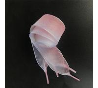 1 Pair of 2.5 cm Wide Organza Shoelaces with Colour Gradient, Snow Gauze, Translucent Laces, Satin Laces, Replacement Laces for Trainers, Casual Shoes, Canvas Shoes, Powder White, 180 cm