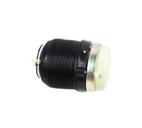 1 Pair Rear Air Suspension Spring Strut Bellow Compatible With | Fits A6 C6 2004-2011; Replaces Part Number 4F0616001J