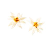 1 Pair Resin Flower Earrings Ear Studs with Bold Raised Florets for Fashion Enthusiasts and Sweet Vacation Look Vacation Earrings