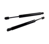 1 Pair Tailgate Boot Trunk Gas Struts Lifter For VW For MK3 1K2 Saloon 2005-2010 Automobile hydraulic rod