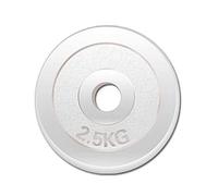 1 Pair Weight Plate,Universal Dumbbell Barbell Weight Lifting Training Plates Disc,for Bodybuilding Home Gym Exercise Equipment Fat Loss/Silver / 2x2.5KG