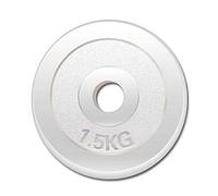 1 Pair Weight Plate,Universal Dumbbell Barbell Weight Lifting Training Plates Disc,for Bodybuilding Home Gym Exercise Equipment Fat Loss/Silver / 2x1.5kg