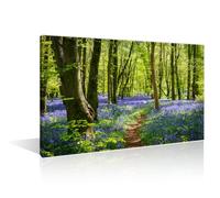 1 Panels Beautiful Green Forest Paintings for Wall Decorations Through Bluebell Woods Landscape Wall Painting Forest Daylight Art Prints and Posters Stretched and Framed Ready to Hang (12"Wx18"H)