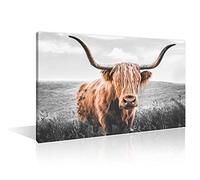 1 Panels Brown Highland Cattle Picture Bathroom Decor Wall Art Cow with Big Horns Painting Natural Landscape Black and White Wall Art Prints Modern Home Decor Framed Ready to Hang (24"Wx36"H)
