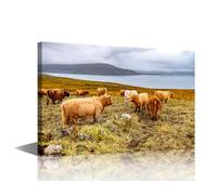 1 Panels Highland Cattle Wall Art Natural Landscape Framed Wall Art Wild Animal Bedroom Wall Decor Modern Home Decor Giclee Gallery-Wrapped Posters and Prints Framed Ready to Hang (24"Wx36"H)