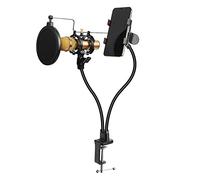 1 Pc Cantilever Microphone Stand Anchor Live Broadcast Equipme Capacitor Wheat Clip Net