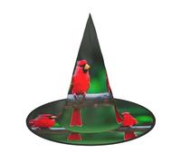 1 PC Halloween Hat – Red cute birds Print Witches Decor Party Witch Costume, Pointed Horn Cap, Festive Gift