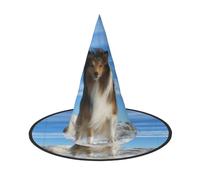 1 PC Halloween Hat – Witch cute shetland dog Print Costume Party, Women Men, Pointed Horn Cap, Light for Festive Easter