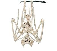 1 Pc Horrible Halloween Bat Skeleton Simulation Bat Skeleton Lifelike Bat Bone Halloween Props Animal Skeleton For Halloween Decoration, Bat
