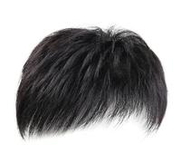 1 Pc Men's Wig, Men's Hairline Replacement Hair Piece, Men's Fluffy Realistic Wig, Men's Short Synthetic Wig, For Cosplay, Daily Dress Up ect (Black)