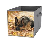 1 PC Square Oxford Cloth Storage Basket Bin Foldable Organizer with Handles, Clothes Bucket Waterproof Laundry Hamper 10.6"x10.6"x10.6" Print German Shepherd Dog Lies on Autumn Falling Foliage Leaves