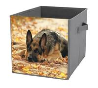 1 PC Square PU Leather Storage Basket Bin Foldable Organizer with Handles, Clothes Bucket Waterproof Laundry Hamper 10.6"x10.6"x10.6" Print German Shepherd Dog Lies on Autumn Falling Foliage Leaves