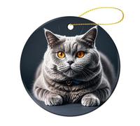 1 Pcs Ceramic Christmas Ornaments - A Gray Cat is Lying Round Double Sided Porcelain Hanging Decor for Xmas Tree, Holiday Home Decor and Gift Party Decorations (2.8 Inch)