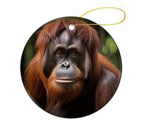 1 Pcs Ceramic Christmas Ornaments - Orangutan Taking Photo Round Double Sided Porcelain Hanging Decor for Xmas Tree, Holiday Home Decor and Gift Party Decorations (2.8 Inch)