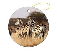 1 Pcs Ceramic Christmas Ornaments - Zebras On South Africa Round Double Sided Porcelain Hanging Decor for Xmas Tree, Holiday Home Decor and Gift Party Decorations (2.8 Inch)