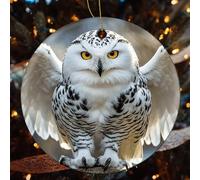 1 Pcs Christmas Ceramic Ornaments for Tree Decorations - Snow Owl Farmhouse Christmas Decor, Hanging Pendant Round Ornament for Xmas Tree Gifts (2.8 Inch)