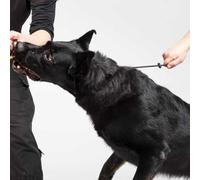 1 pcs Dog Collar Slip Collars for Dogs Training Collars for Dog Training Collar Round Nylon Rope Collars P-Collar No Pull Dog Chain for Small Medium Dogs (M, Black)