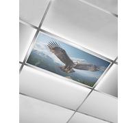 1 Pcs Fluorescent Light Covers for Ceiling Lights,Bald Eagle Soaring Above Mountains Wild Birds Magnetic Light Filters Fluorescent Light Shade Panel,Nature Photography Light Covers for Classroom