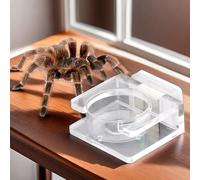 1 Pcs Jumping Spider Feeding Dish Transparent Acrylic Magnetic Tiny Tarantula Food Bowl Water Dish for Jumping Spider Tarantula Spider (3.9 x 2.9 x 3.1 Inch)