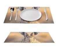 1 PCS Placemats Set PVC Vinyl Woven Table Mats Heat-Resistant Farmhouse Place Mat Non-Slip Washable A Brown Hare Woven Placemats for Dining Table Kitchen Weddings Party Decor