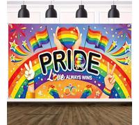 1 Pcs Pride Decorations Backdrop Banner, 70*43inch Rainbow Pride Month Backdrop, Indoor Outdoor LGBTQ Hanging Flag Sign Lesbian Bisexual Transgender Photo Booth Prop Supply for Parade Home Accessory