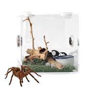 1 Pcs Reptile Food Breeding Container - Clear Feeding Boxes | Display Box - for Spiders, Crickets, Snails, Crabs