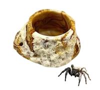 1 Pcs Spider Micro Water Bowl Jumping Spider Feeding Dish Resin Reptile Water Dish for Tarantula Millipede Gecko Lizard Tiny Reptile (1.77" D, 1.18" H)