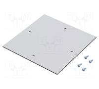 1 pcs x RITTAL - 9548000 - Mounting plate, plastic, light grey