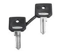 ZBG421E key 22 mm Harmony XB4 2pcs. SCHNEIDER ELECTRIC