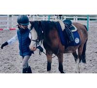 1 person - 1 Hour Pony Experience for Children