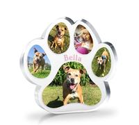 1 Personalised Customised Multi Photo Upload Acrylic Freestanding Photo Pawprint Pet Dog Cat Paw Block or Coaster as Gift Present Christmas Memorial Birthday 100mm X 100mm Primary Teaching Services