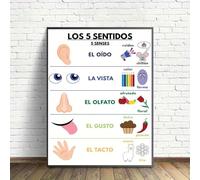 1 Piece 40x50cm "Spanish Sensory Learning" Bilingual English/Spanish Educational Chart Wall Art Pictures, Canvas Posters and Prints, Wall Painting for Living Room, Bathroom(without Frame, Just Poster)
