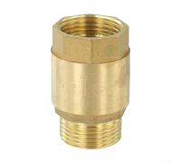 1 Piece Brass Check Valve, Designed for Longevity, Effective in High Pressure Applications, for Various Measuring Devices (1 Inch)