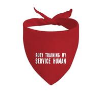 1 Piece Busy Training My Service Human Triangle Dog Bandana Special Needs Tie On Scarf Rescue Bandana (Service Human D UK)