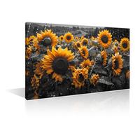 1 Piece Colorful Sunflower Painting Posters House Deocration for Living Room Black and White Plant Sunflower Canvas Prints Wall Art for Office Bedroom Modern Artwork Giclee Framed (12"Wx18"H)