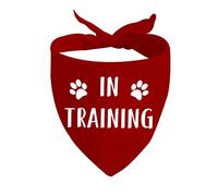 1 Piece In Training Dog Bandana Ask To Pet Dog Bandana Give Me Space Dog Bandana Rescue Dog Bandana (IN TRAINING D)