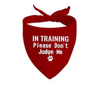 1 Piece In Training Dog Bandana Ask To Pet Dog Bandana Give Me Space Dog Bandana Rescue Dog Bandana (RED Don't Judge Me)