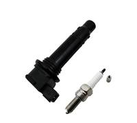1 Piece Motorcycle Ignition Coils & For Spark Plugs ODMO-178000 For CFMOTO CF250 For CF250NK For CF250SR For 250CL-X Ignition Coil Pack