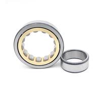 1 Piece NU204EM NU204E-TVP2 NU204ECP 20X47X14 Cylindrical Roller Bearings Single Row Machined(NU204ECM)