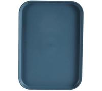1 Piece Rectangular Plastic Tray Dark Blue Serving Tray Storage Plate For Home/Restaurant/Hotel Organizer,24CM*17.3CM*1.5CM