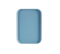 1 Piece Rectangular Plastic Tray Light Blue Serving Tray Storage Plate For Home/Restaurant/Hotel Organizer,24CM*17.3CM*1.5CM