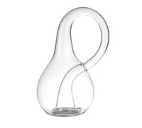 1 Piece Transparent Klein Bottles Ornaments Four Dimensional Space Decorative Glass Bottle Thickened Glass Home Decoration (L:16CMX9CM)