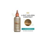 (1 Pk) Clairol Beautiful Collection 6G Light Golden Chestnut